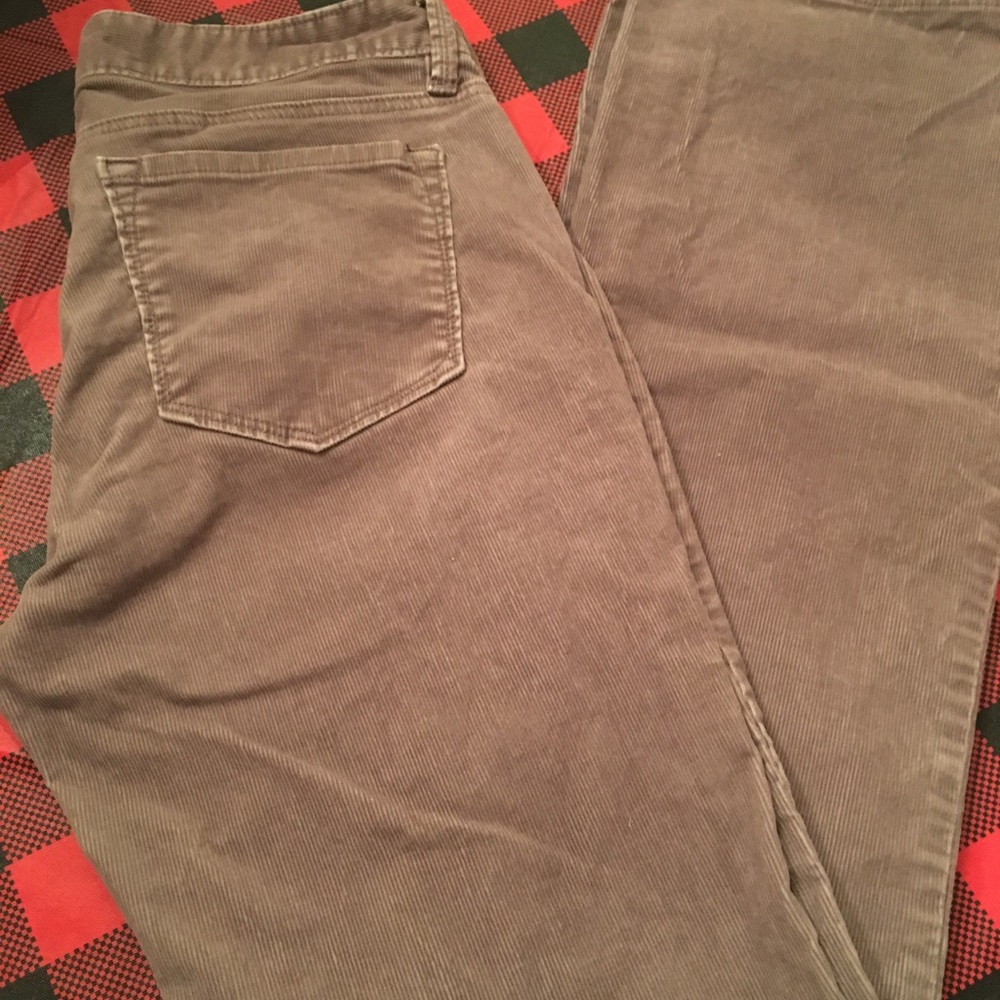 Ann Taylor Loft Curvy Boot Cords